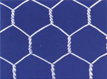 Hexagonal mesh